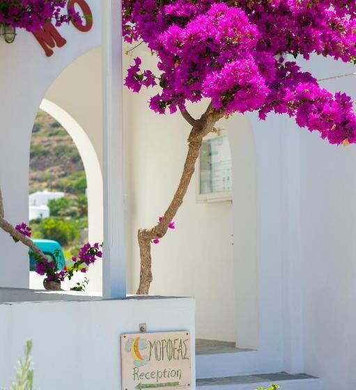 Morpheas Pension Rooms & Apartments