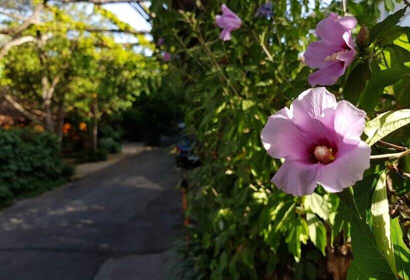 Residence Villaggio Verde