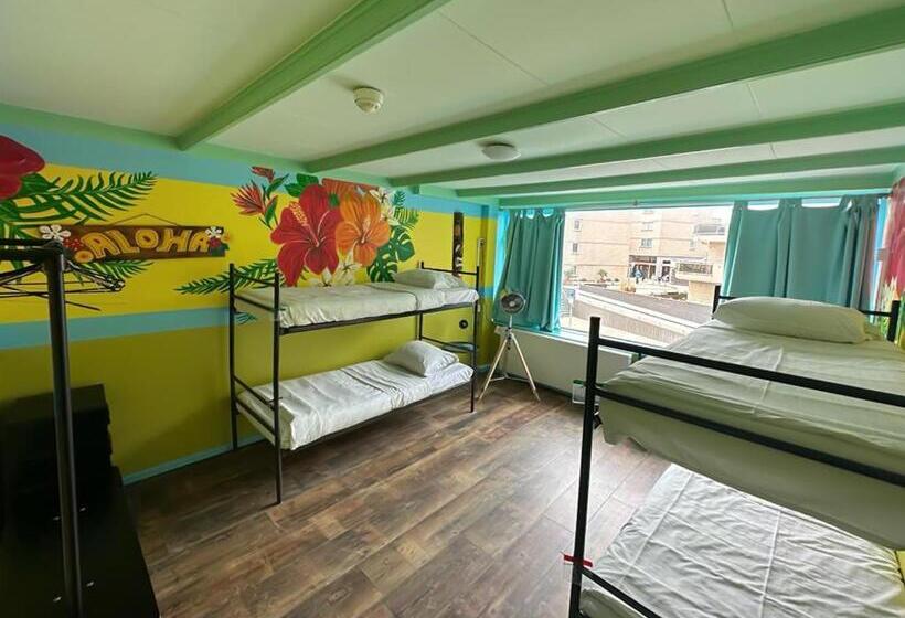 The Flying Pig Beach Hostel