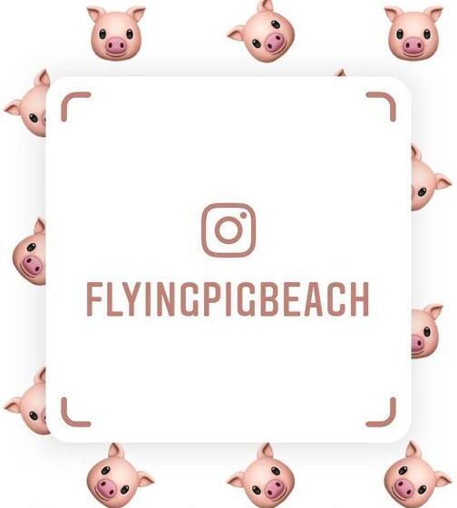 The Flying Pig Beach Hostel