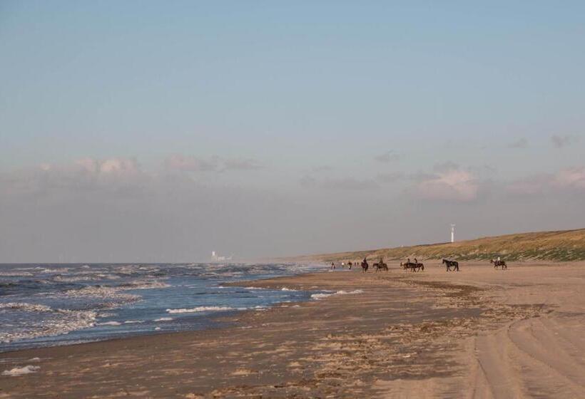 The Flying Pig Beach Hostel