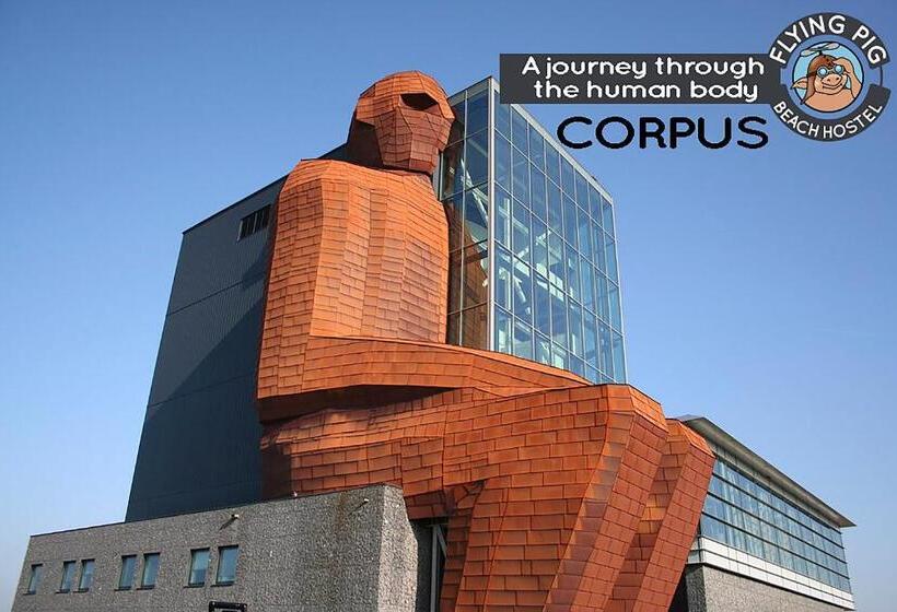 The Flying Pig Beach Hostel