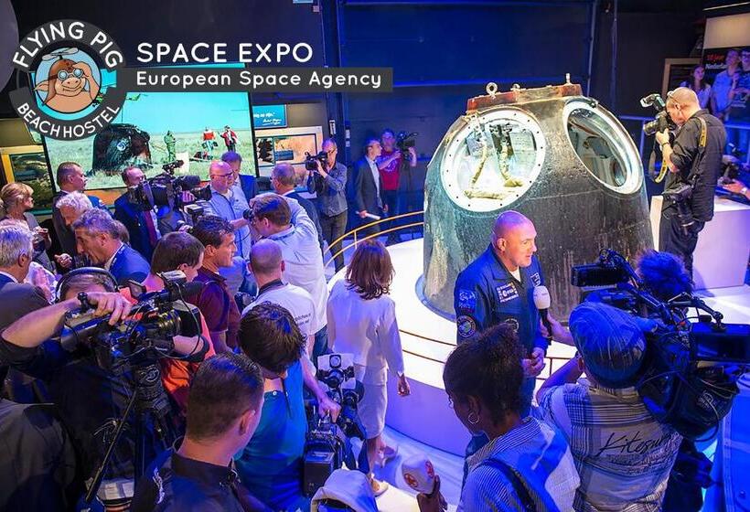 The Flying Pig Beach Hostel