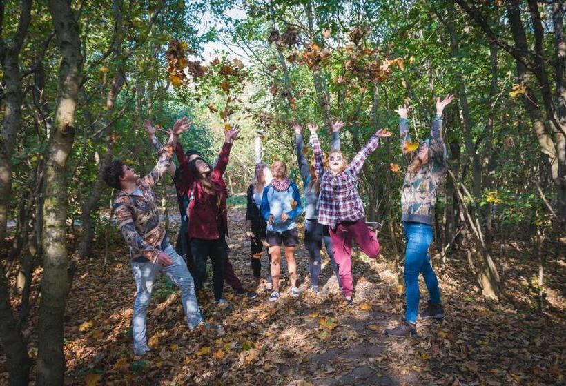 The Flying Pig Beach Hostel