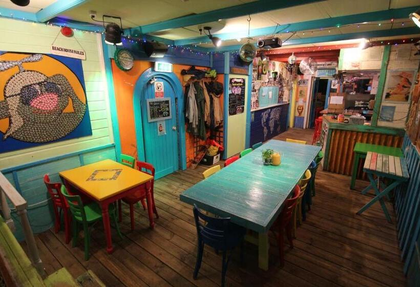 The Flying Pig Beach Hostel
