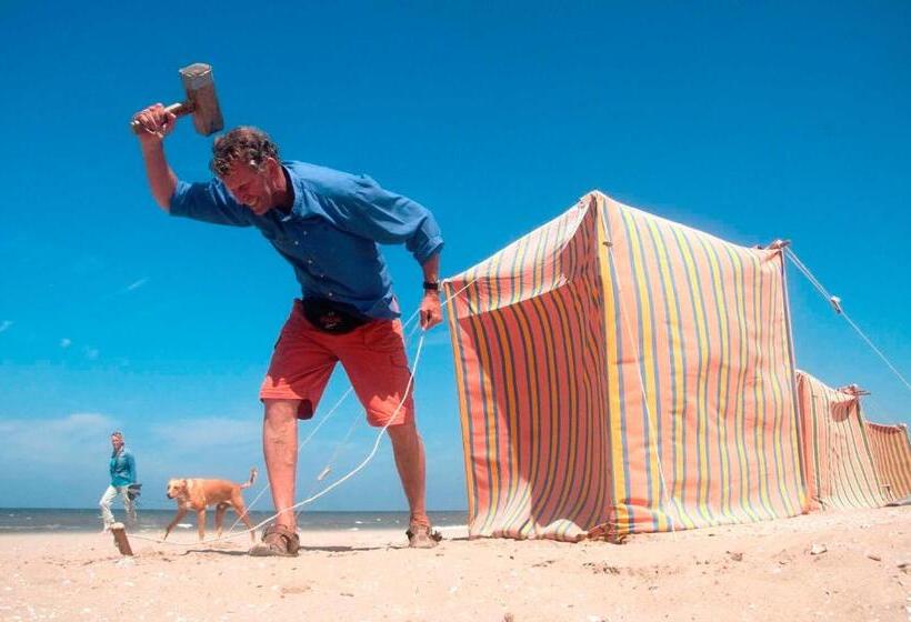 The Flying Pig Beach Hostel