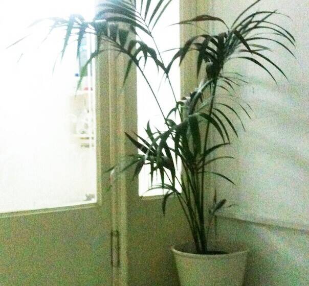 The Studenthostel Utrecht