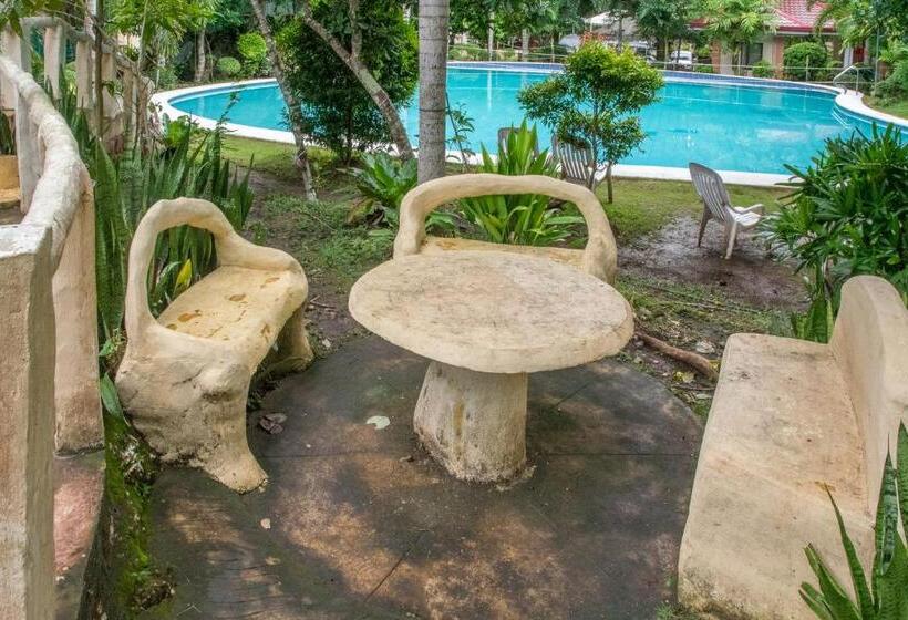 Almira Diving Resort  Panglao