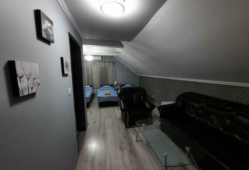 تختخواب و صبحانه Borostyán Panzió