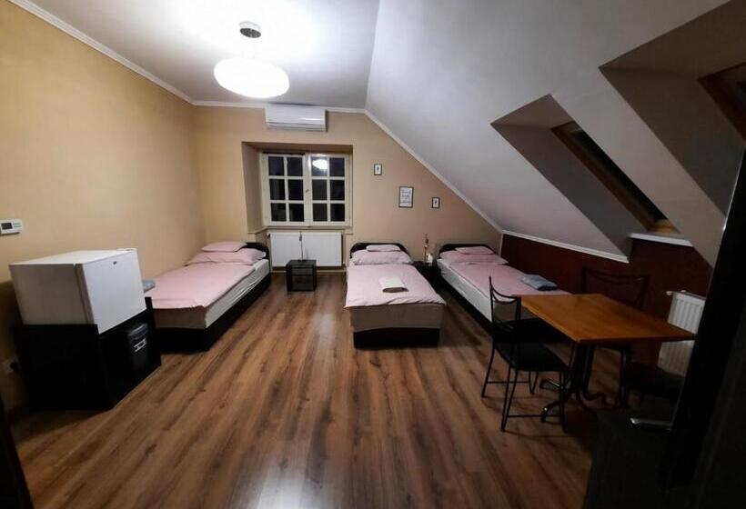 تختخواب و صبحانه Borostyán Panzió