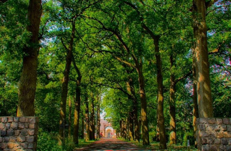 Bed and Breakfast Guesthouse Valkenswaard