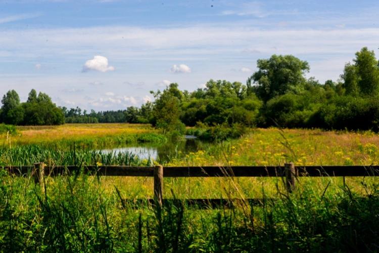 Bed and Breakfast Guesthouse Valkenswaard