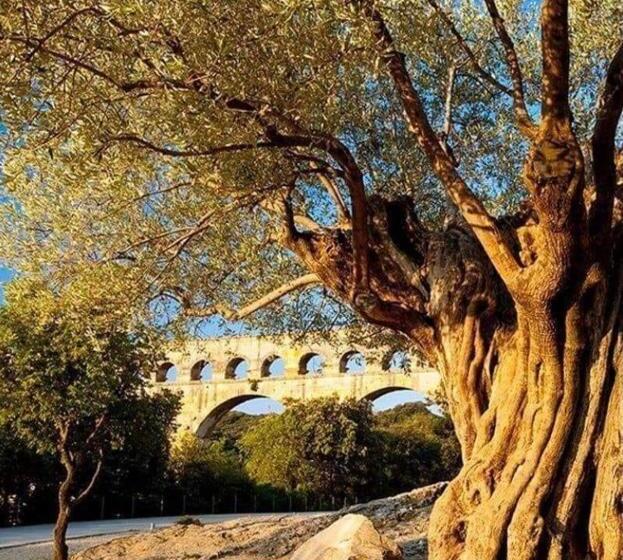 تختخواب و صبحانه Suite Spa Accès Autonome