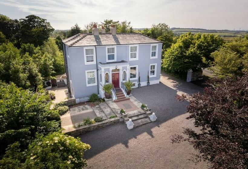 ベッドアンドブレックファースト The Art Lounge