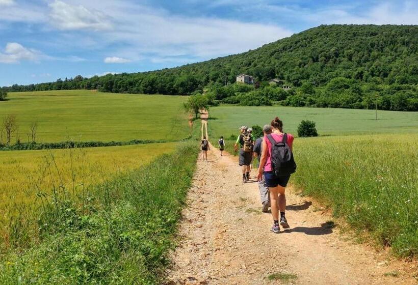 פנסיון Cosy Country Room Garden