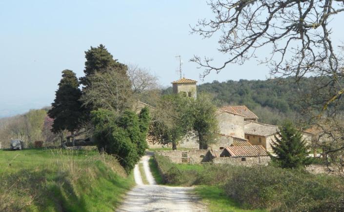פנסיון Cosy Country Room Garden
