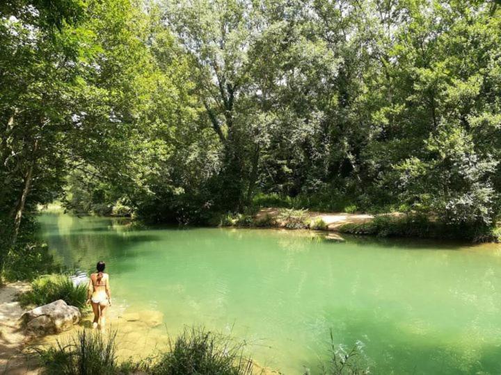 פנסיון Cosy Country Room Garden