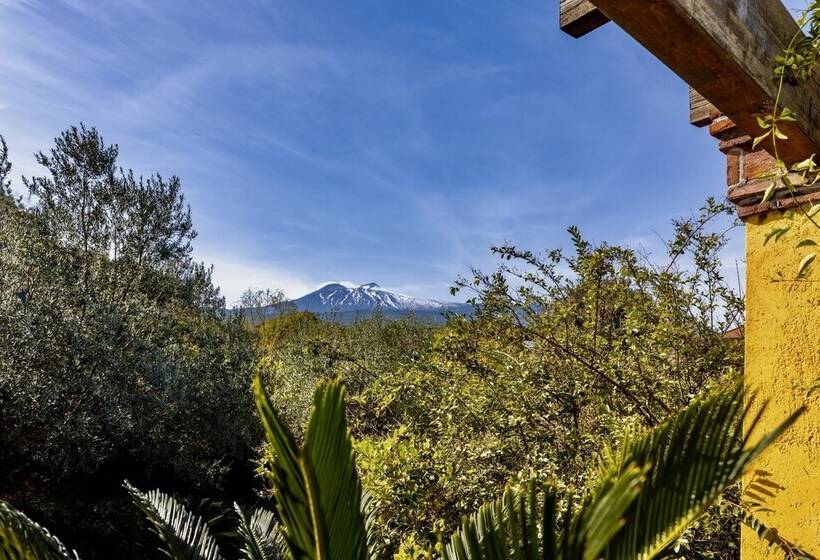 פנסיון Palazzo Previtera