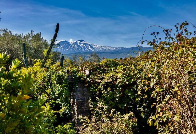 פנסיון Palazzo Previtera