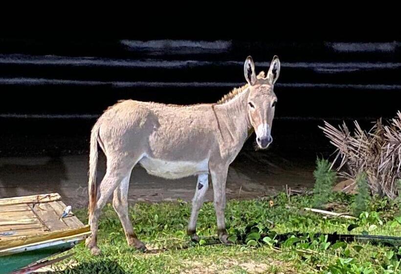 Пансион Takito Kite House, Praia Da Baleia, Itapipoca Ce