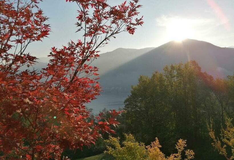 Bed and Breakfast La Finestra Sul Lago