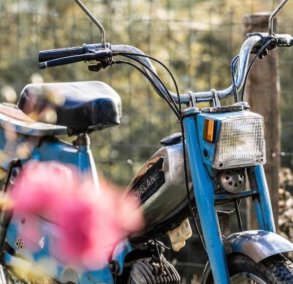 צימר La Maison Au Bord Du Lac