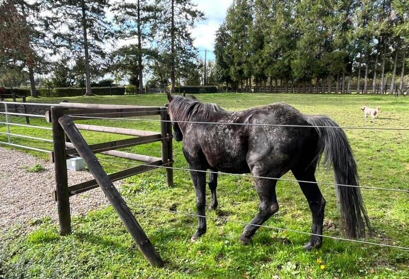 Bed and Breakfast Le Domaine Des Volets Bleus