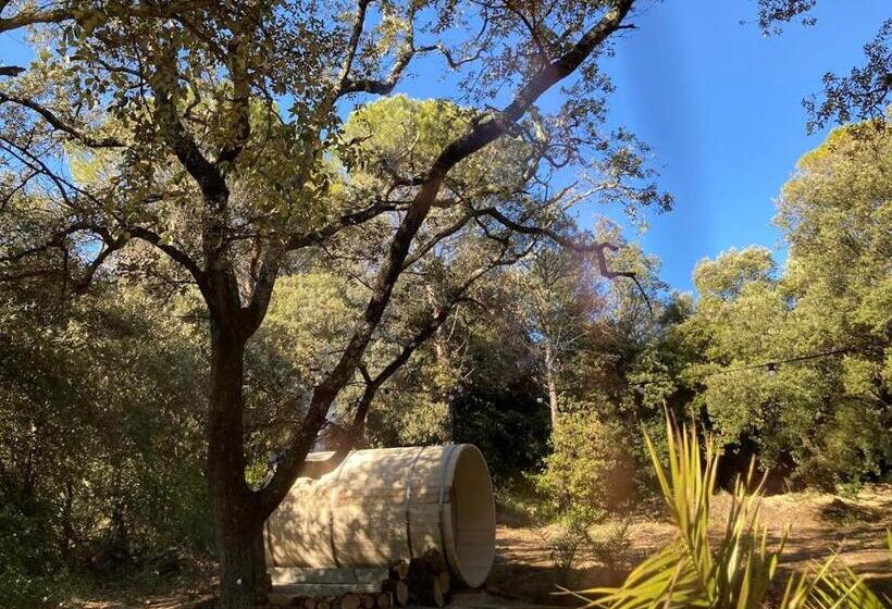 Bed and Breakfast Les Horizons 800m Centre Ville Nyons Piscine Chauffée