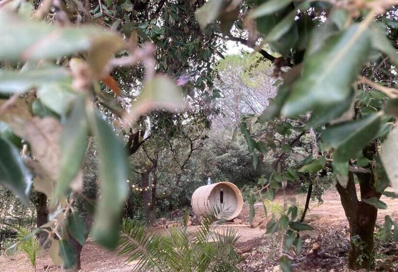 Bed and Breakfast Les Horizons 800m Centre Ville Nyons Piscine Chauffée