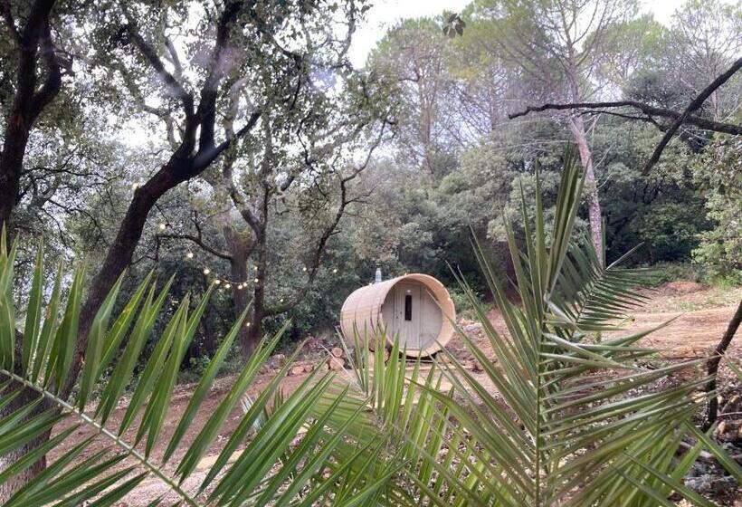 Bed and Breakfast Les Horizons 800m Centre Ville Nyons Piscine Chauffée