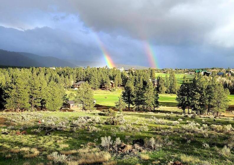 ベッドアンドブレックファースト Ridgewalk Treehouse