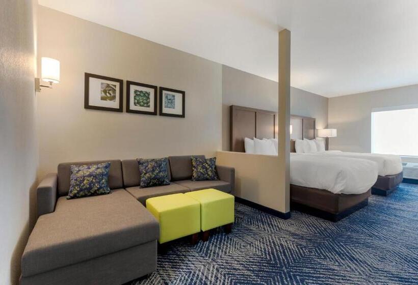 בית מלון כפרי Comfort Inn & Suites Balch Springs  Se Dallas
