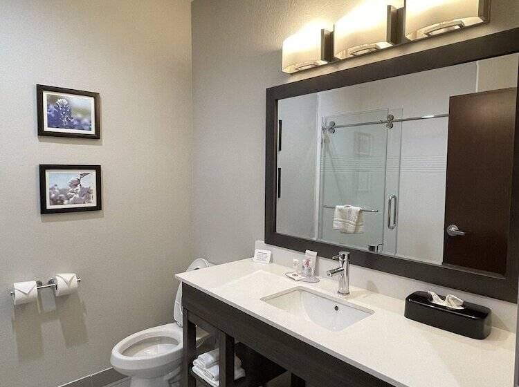 호텔 Comfort Inn & Suites Balch Springs  Se Dallas