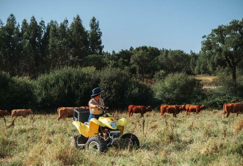 فندق Herdade Dos Cordeiros