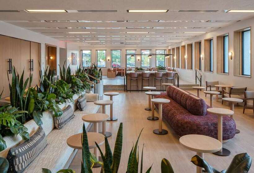 هتل Marcel New Haven, Tapestry Collection By Hilton