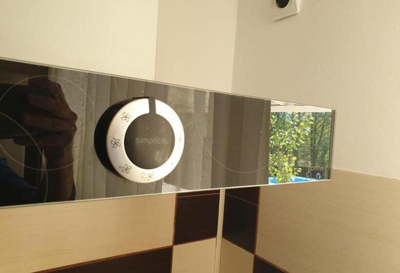 ペンション Casa Aris Lepsa Vrancea