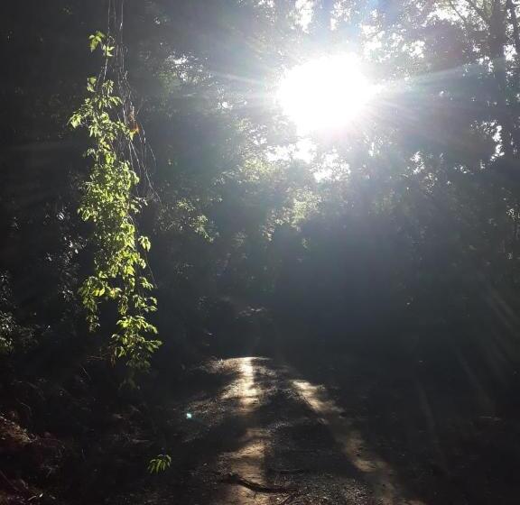 Пансион Eco Aldeia