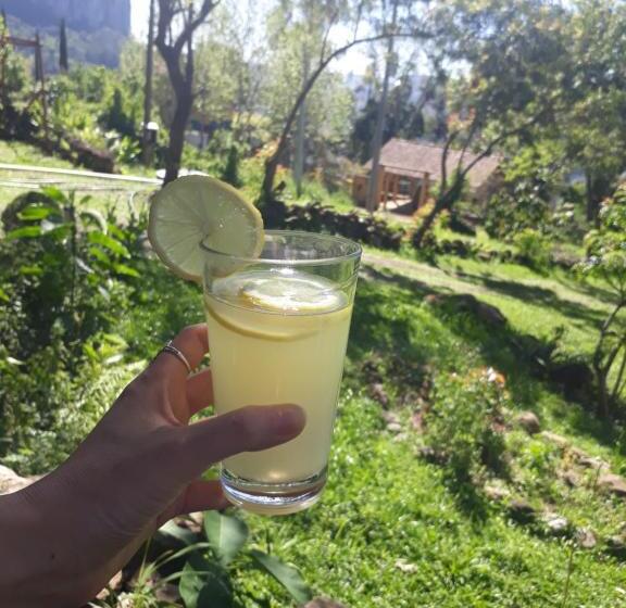 Пансион Eco Aldeia