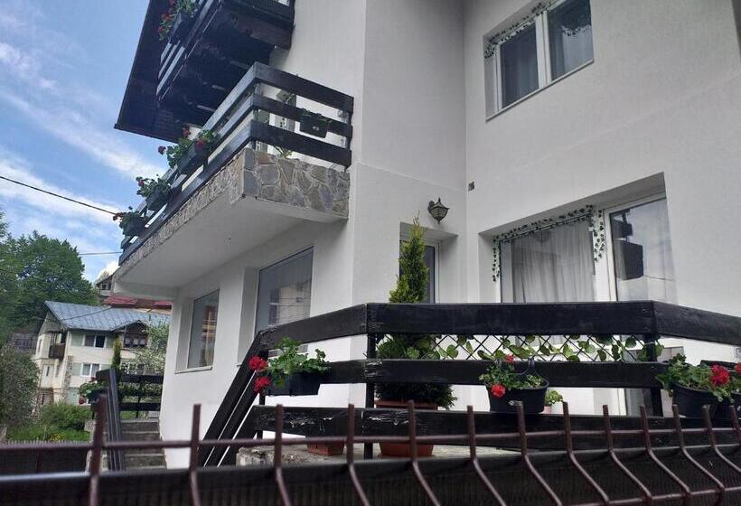 ペンション Miraj