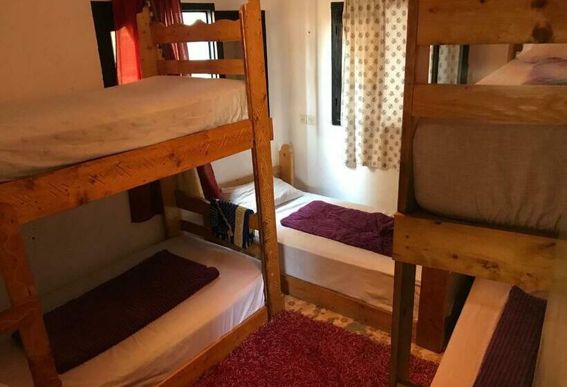 بنسيون Rayane Guest House