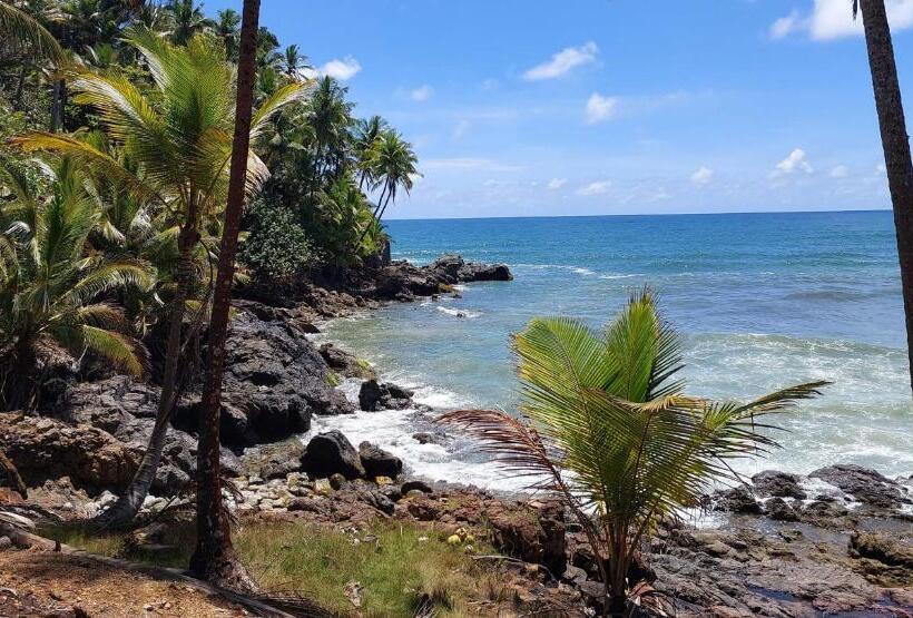 پانسیون Shark Tubarao Suites Central Area