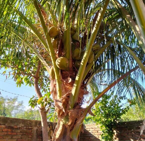 بنسيون Villa Tsubaki 1st Floor