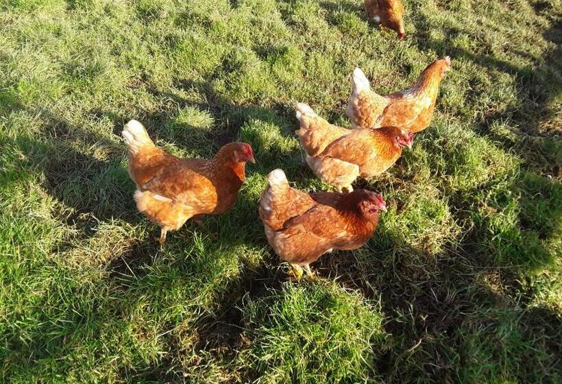 Sharlands Farm Bed And Breakfast