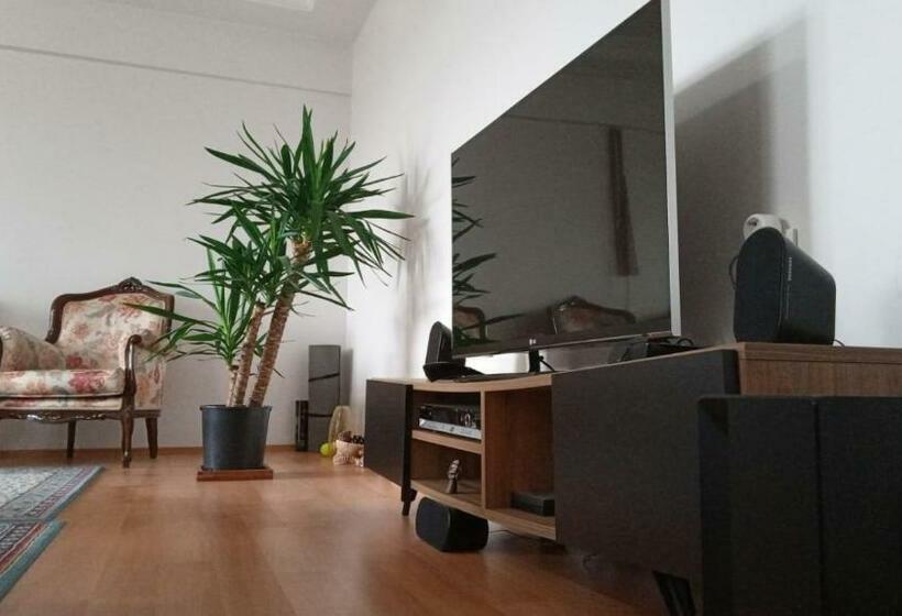 ベッドアンドブレックファースト Single Room, одноместная комната в доме, Chambre D Une Personne, Habitación Individual