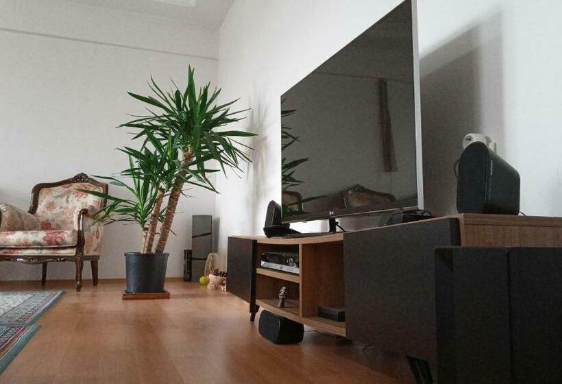 ベッドアンドブレックファースト Single Room, одноместная комната в доме, Chambre D Une Personne, Habitación Individual