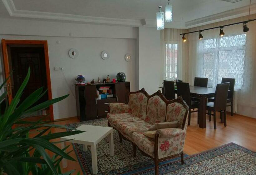 ベッドアンドブレックファースト Single Room, одноместная комната в доме, Chambre D Une Personne, Habitación Individual