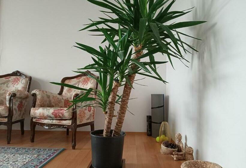 ベッドアンドブレックファースト Single Room, одноместная комната в доме, Chambre D Une Personne, Habitación Individual