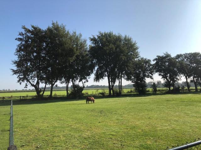 ベッドアンドブレックファースト Bed En Breakfast The Wooden Wall