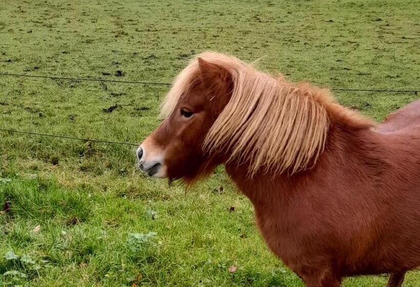 ベッドアンドブレックファースト Bed En Breakfast The Wooden Wall