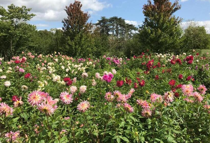 ベッドアンドブレックファースト Clos Saint Léonard